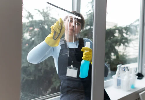 Nettoyage de vitres intérieures et extérieures à Meslan